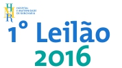 Leilão 2016