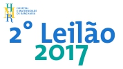 Leilão 2017